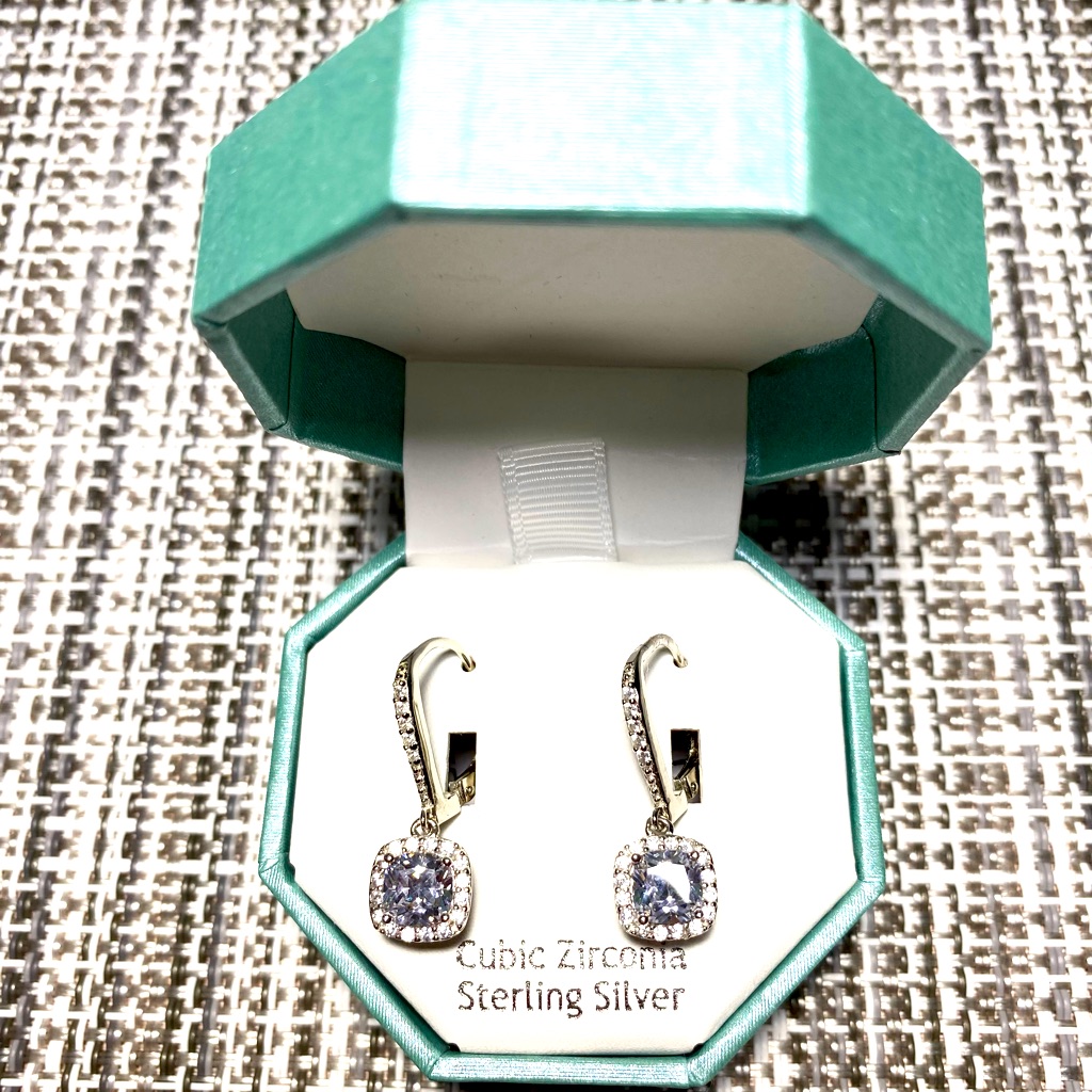 Nanette Brand New Silver Toned Hoop Earrings Box Included 21$